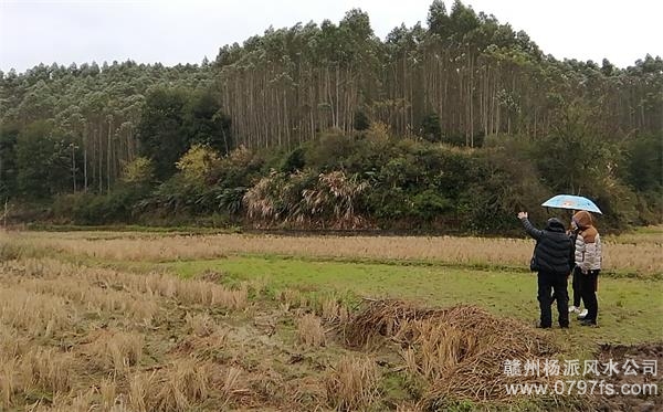 济南市陈老师带着爱徒寻龙点穴